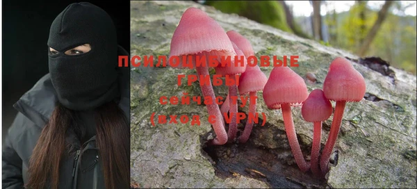mix Баксан