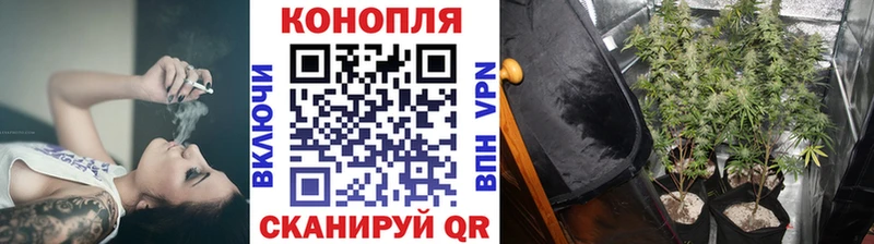 площадка Telegram где можно купить наркотик Будённовск Бошки Шишки MAZAR
